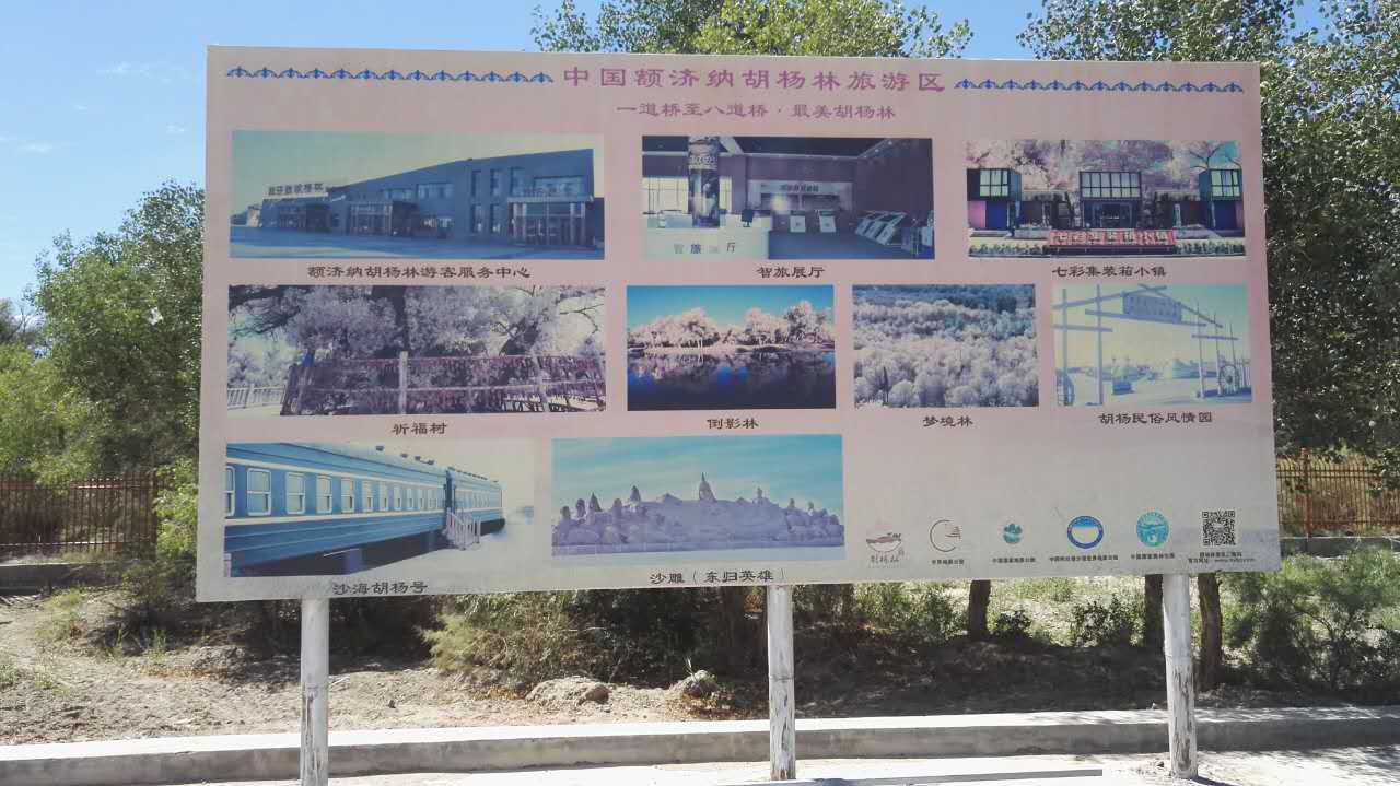 客戶案例-——額濟(jì)納旗法院健身房